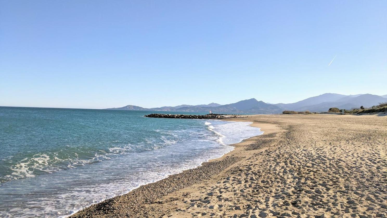 Standing T3Bis Presqu'Ile De La Lagune - Piscine - Mer & Nature Saint-Cyprien  Buitenkant foto